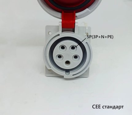 Промышленные розетки – Розетка IEG 1653 Розетка IEG 1653