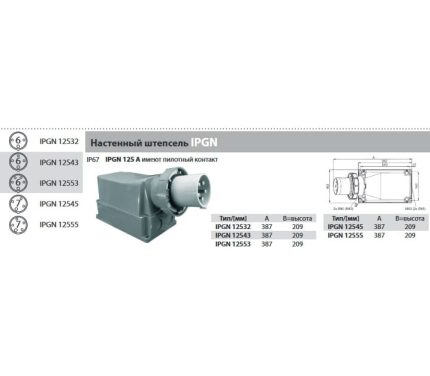 Вилка IPGN 12543