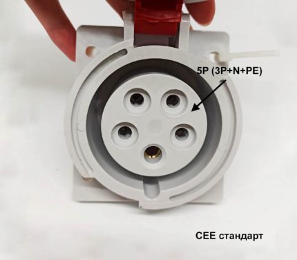 Промышленные розетки – Розетка IEG 1653 (M) Розетка IEG 1653 (M)